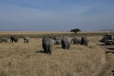 DSC_3896 (Large).JPG